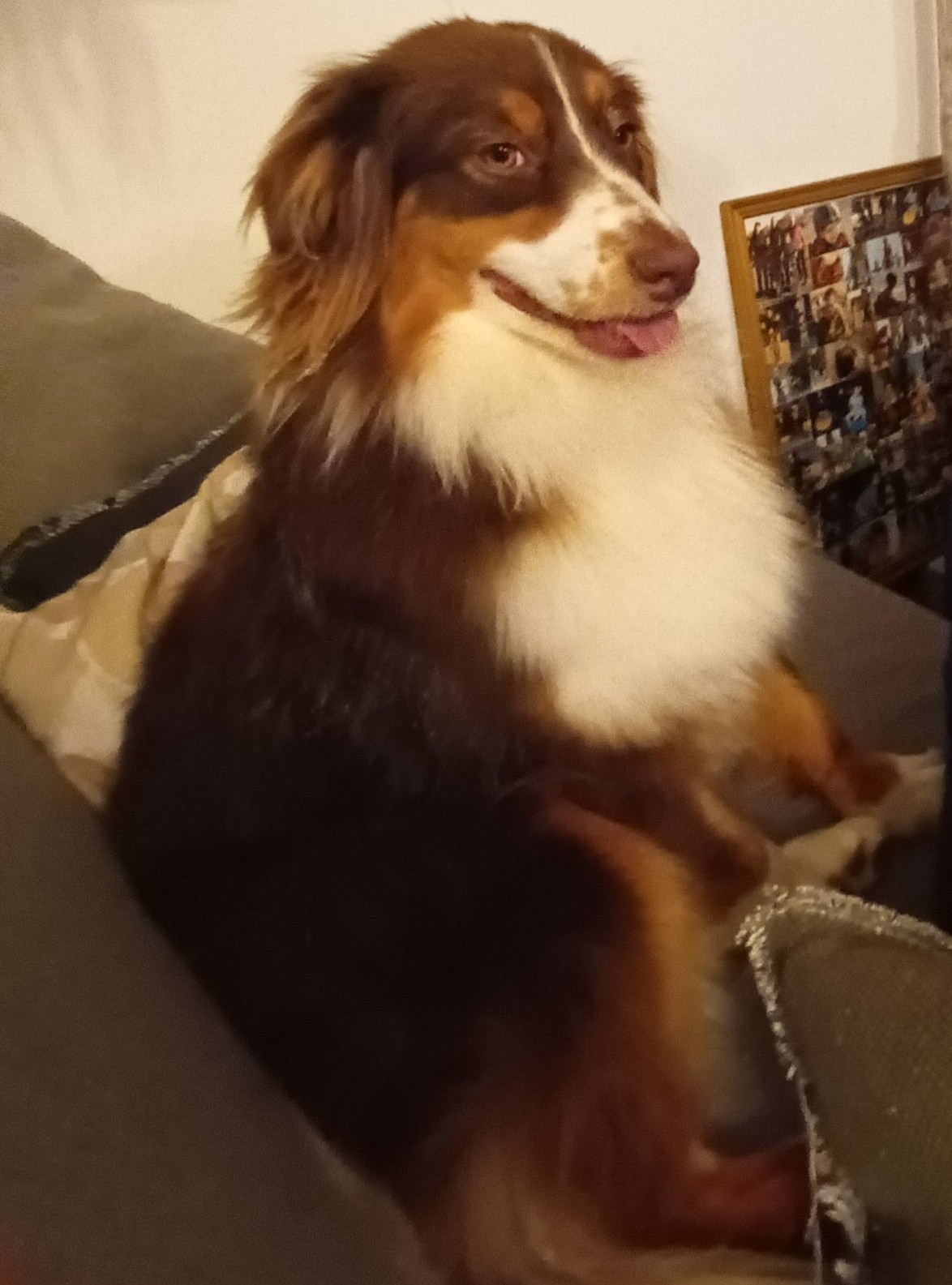 she's the crazy girl and always chasing faries, she loved running everywhere steal your socks